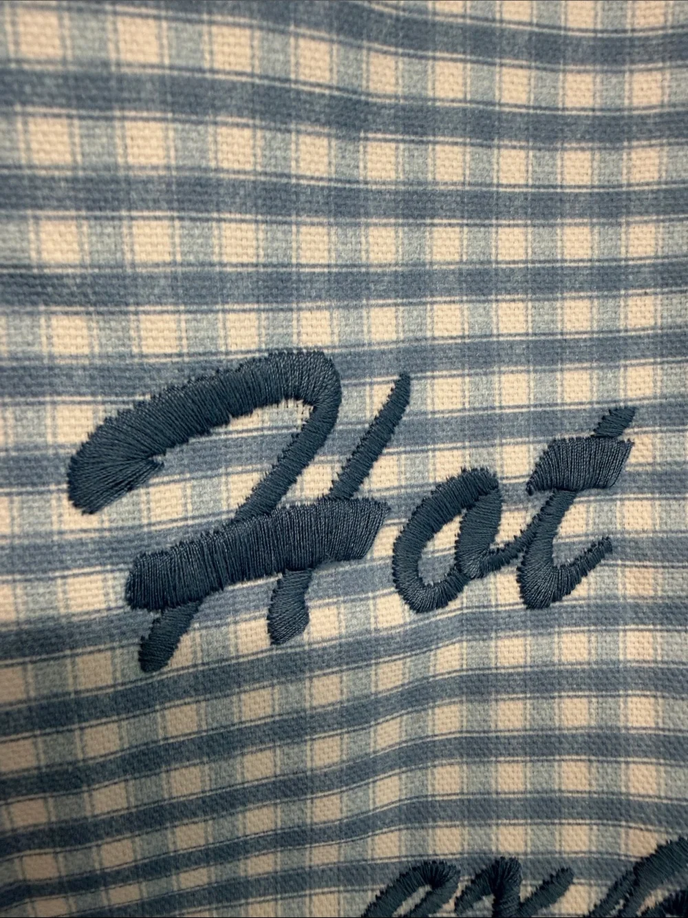 Lady Delaney | Blue Gingham Embroidered 'Hot Mess Express' Tote Bag Set - Picture 7 of 14